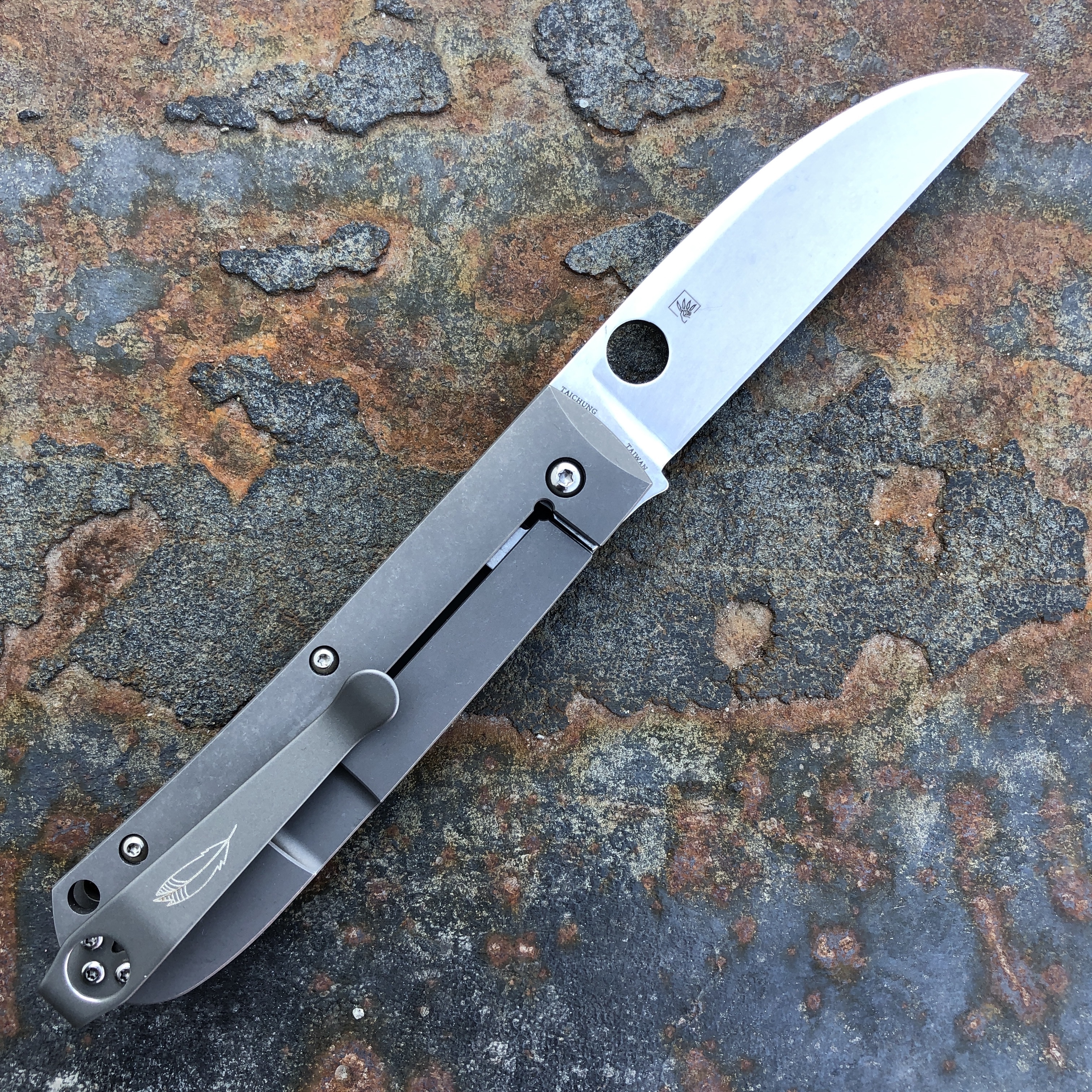 Spyderco Swayback Titanium Gray Scales Satin CTS-XHP Blade